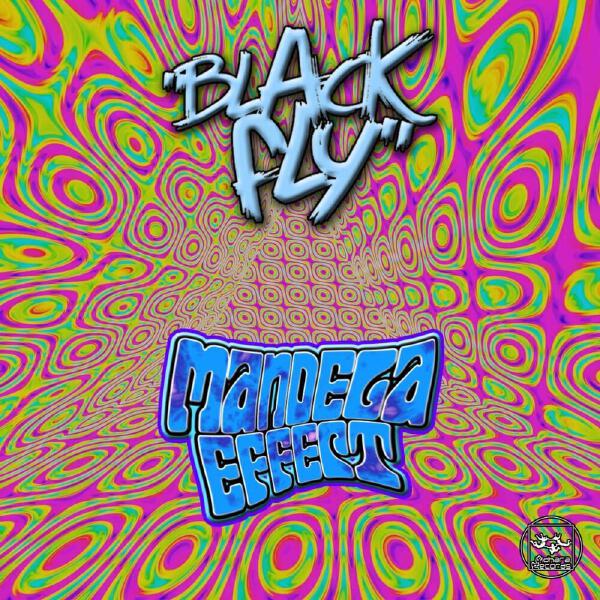 Black Fly