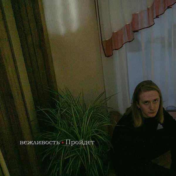 вежливость