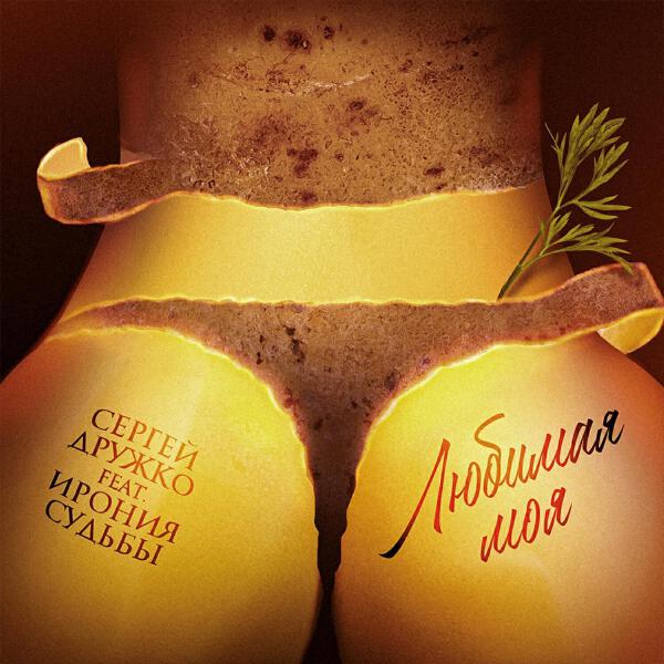 Сергей Дружко