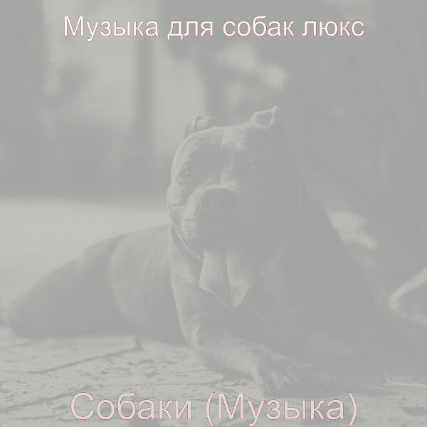 Музыка для собак люкс