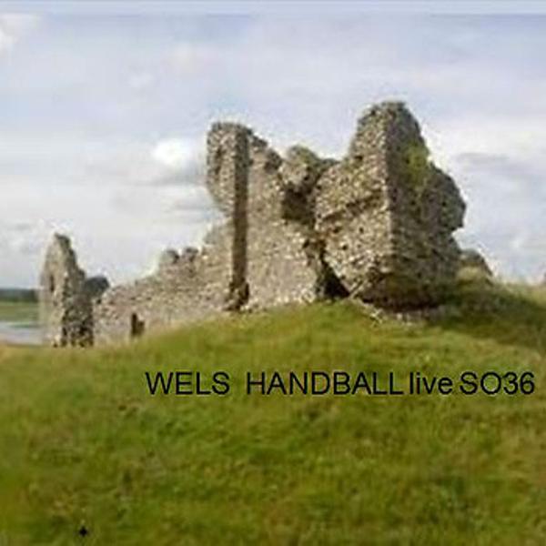Wels