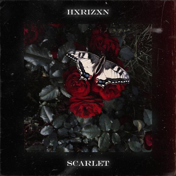 HXRIZXN