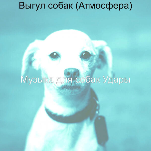 Музыка для собак Удары