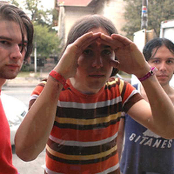 The Cribs