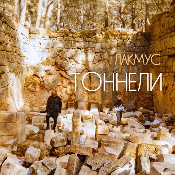 Лакмус