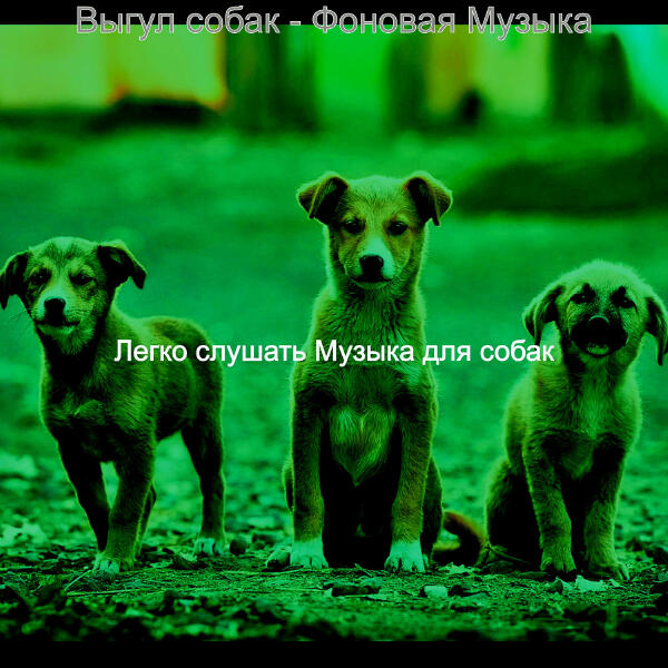 Легко слушать Музыка для собак