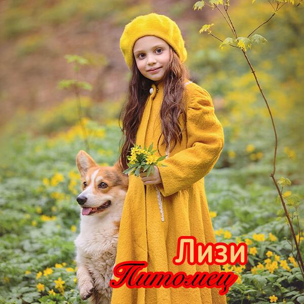 ЛИЗИ