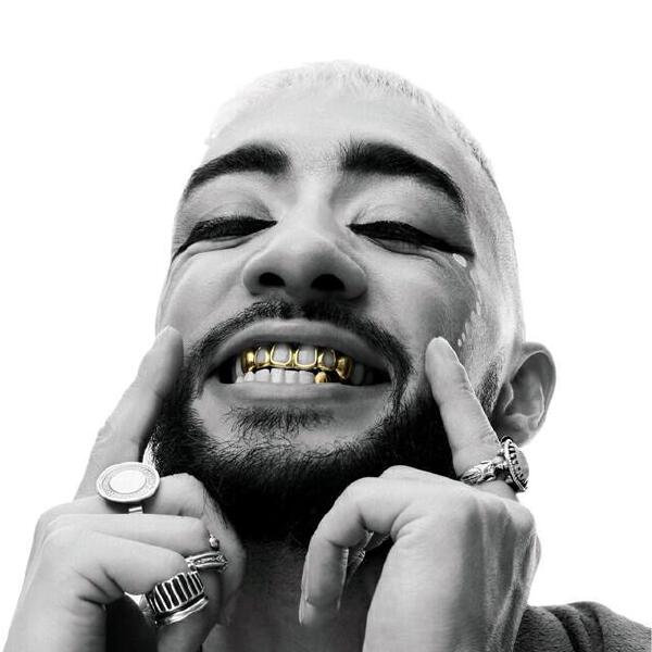 Sofiane Pamart