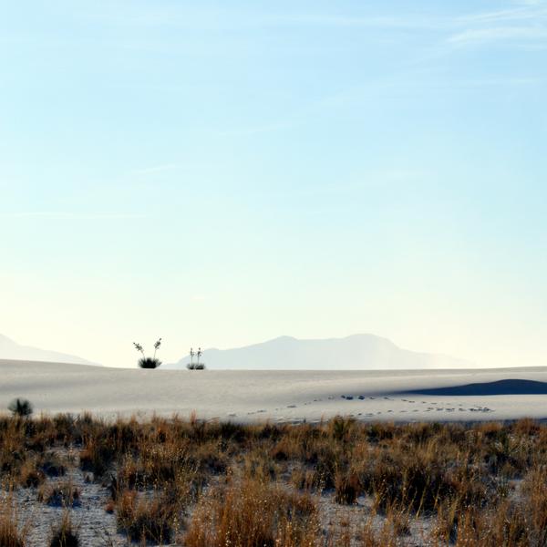 Violet Sands