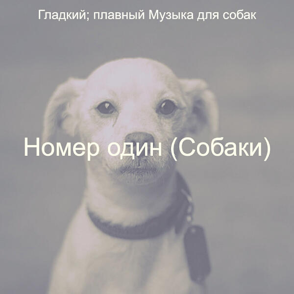 плавный Музыка для собак