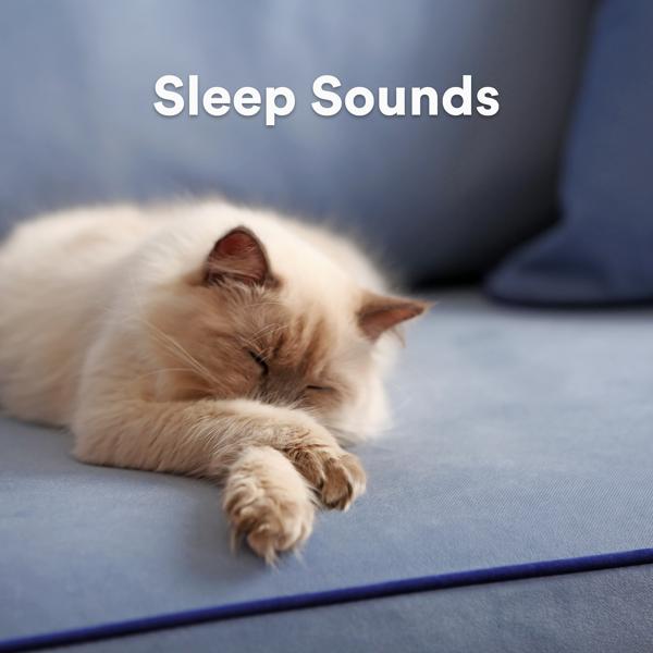 White Noise Baby Sleep