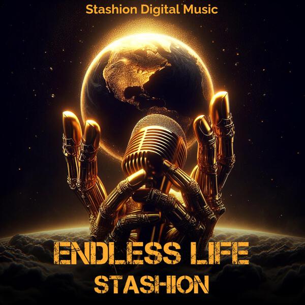 Stashion