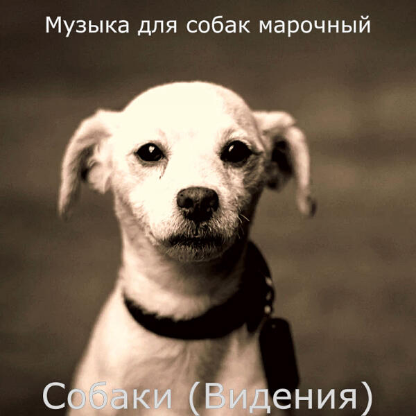 Музыка для собак марочный