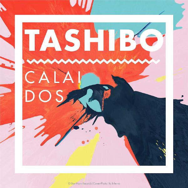 Tashibo