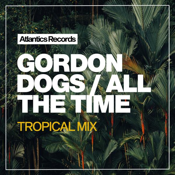 Gordon Dogs