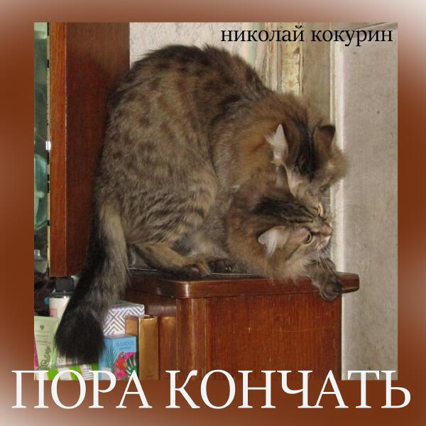 Николай Кокурин