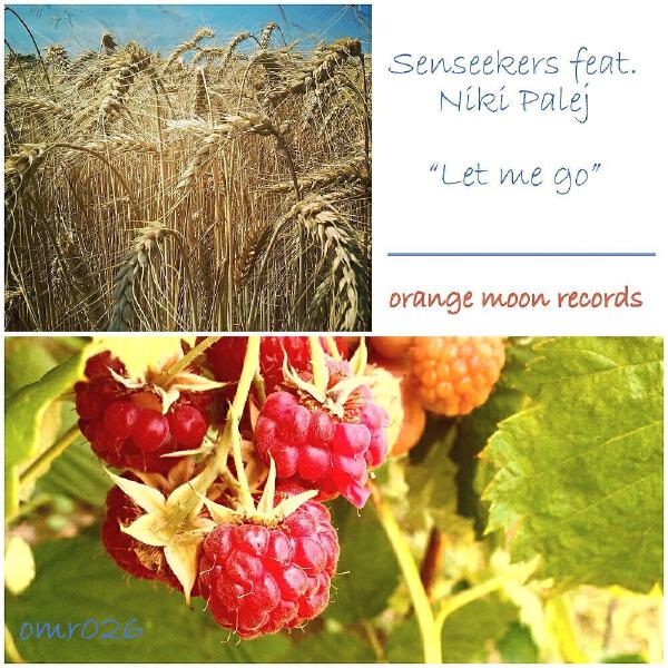 Senseekers