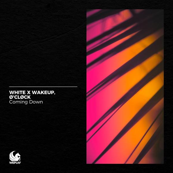 White x Wakeup