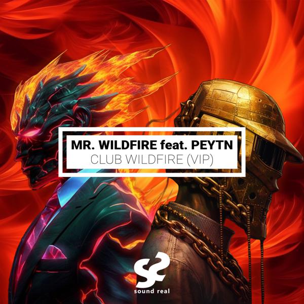 Mr. WildFire