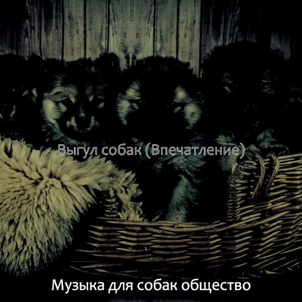 Музыка для собак общество