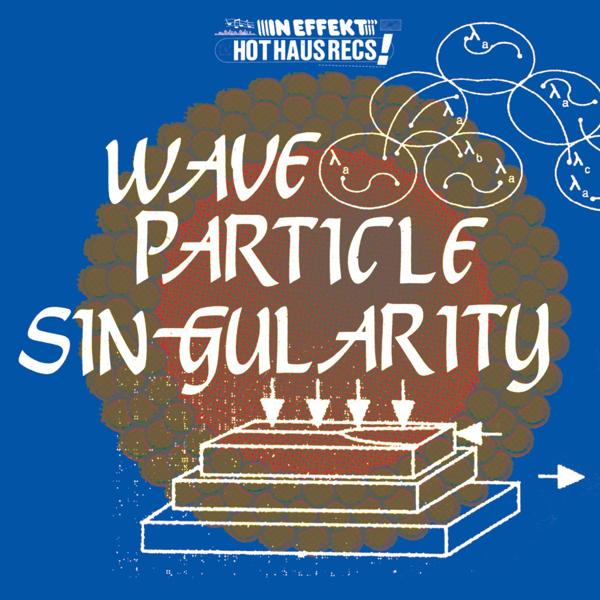 Wave Particle Singularity