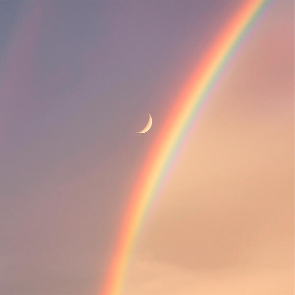 останься дома