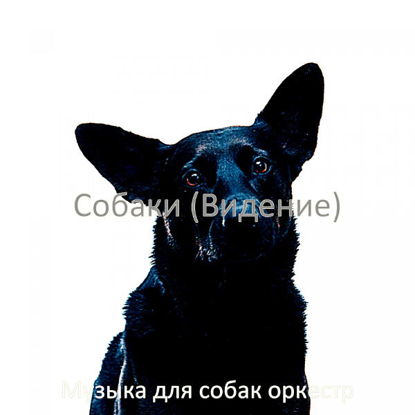 Музыка для собак оркестр