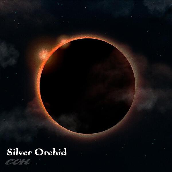 Silver Orchid