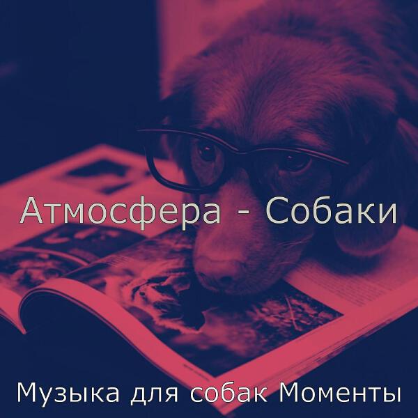 Музыка для собак Моменты