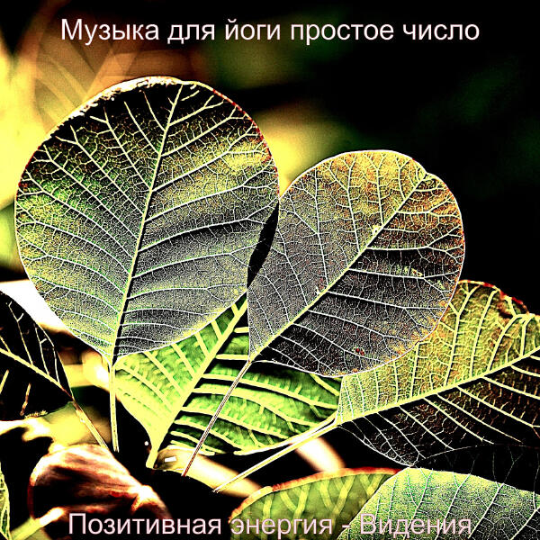 Музыка для йоги простое число