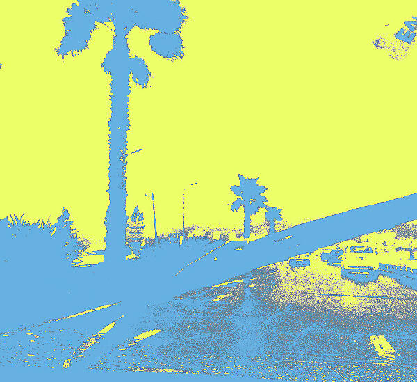 The Lagoons