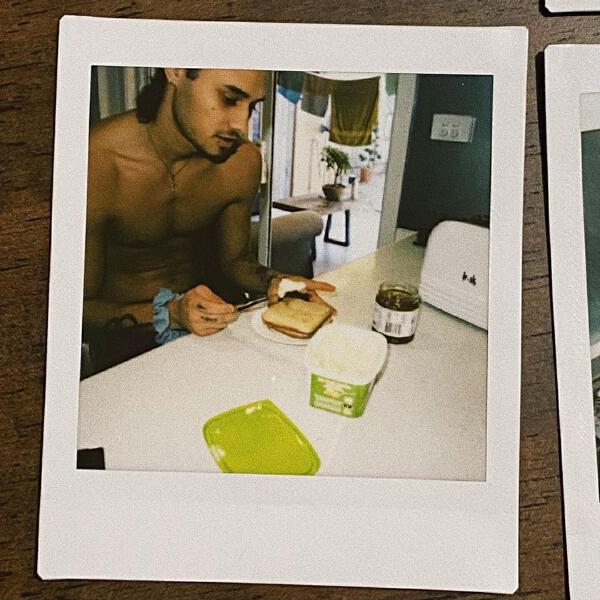 ANML KNGDM