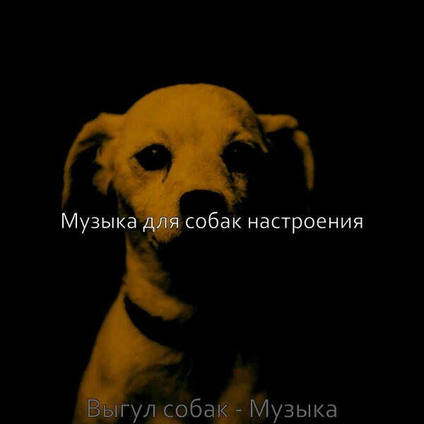 Музыка для собак настроения
