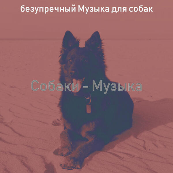 безупречный Музыка для собак