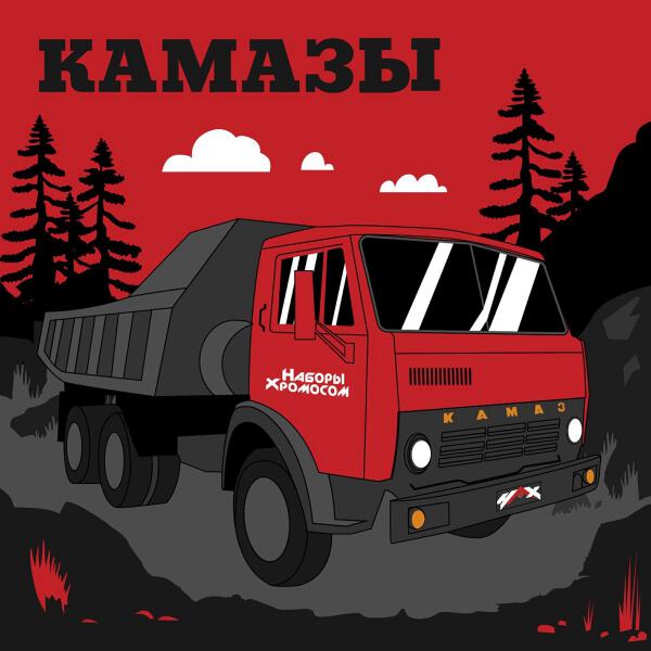 Наборы Хромосом