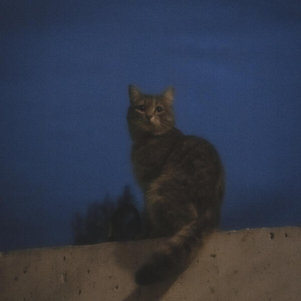 юношев