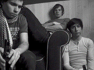 Limbs