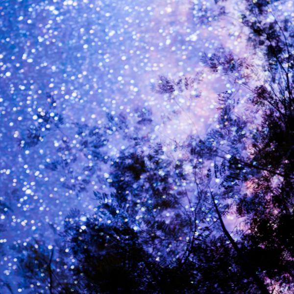 Liza Bochkina