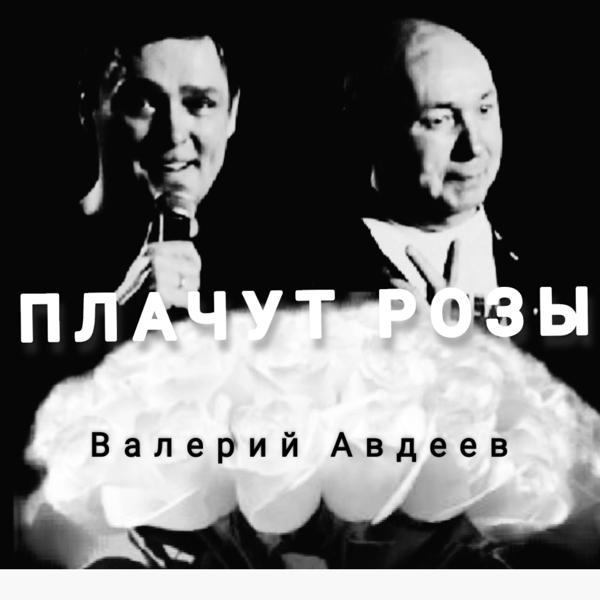 Валерий Авдеев