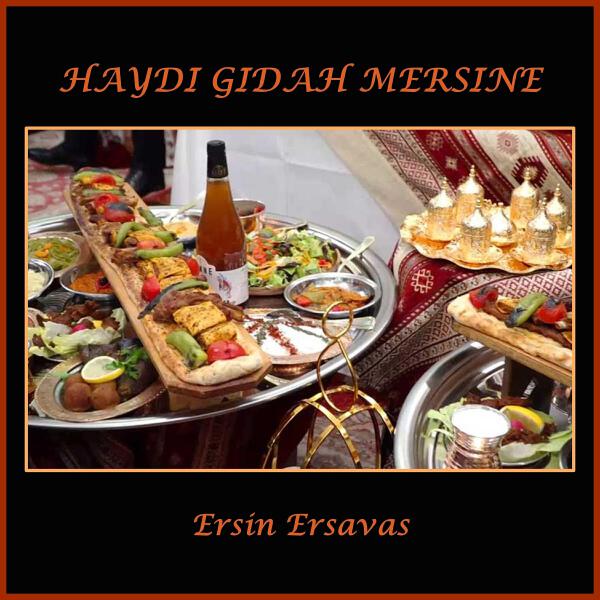 Ersin Ersavas