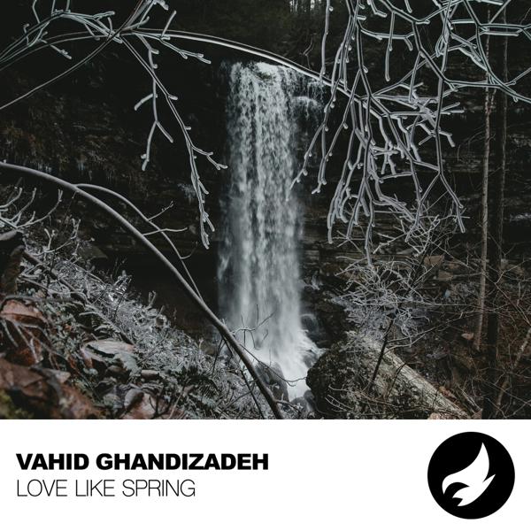 Vahid Ghandizadeh