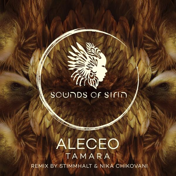 Aleceo