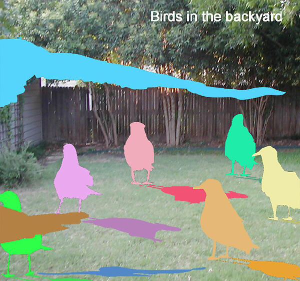 Birds in the Basement