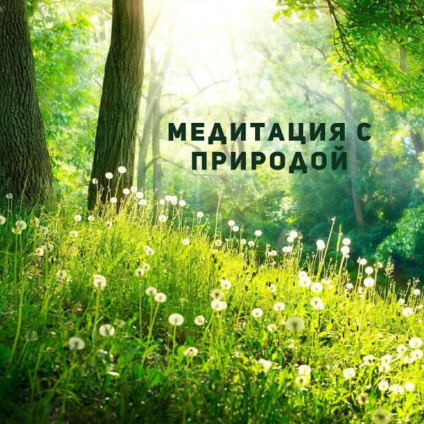 Гармония Счастье и Спокойствие
