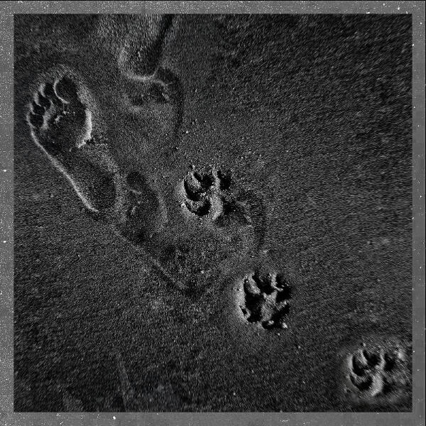 теорія розбитих вікон