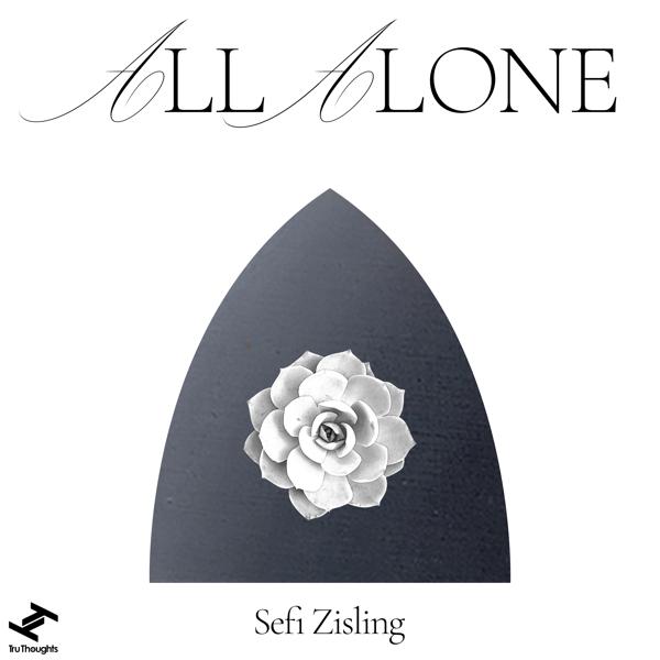 Sefi Zisling