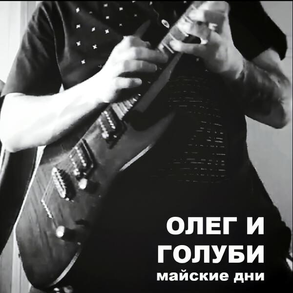 Голуби