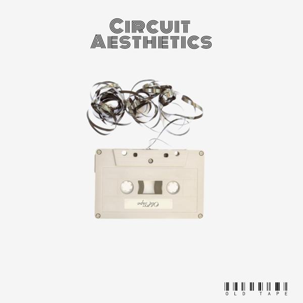 Circuit Aesthetics