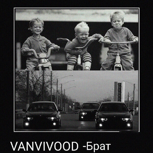 VANVIVOOD