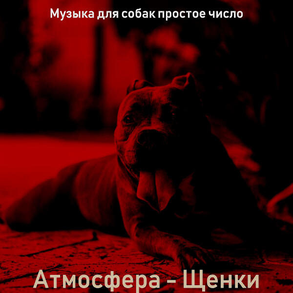 Музыка для собак простое число